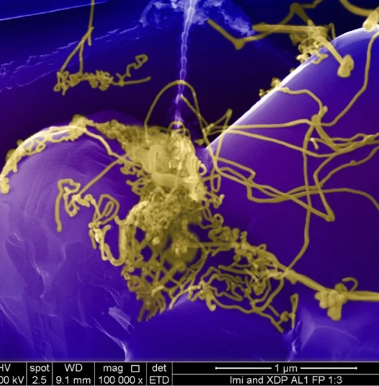 scanning electron microscopy, EDS, EDX, materials analysis